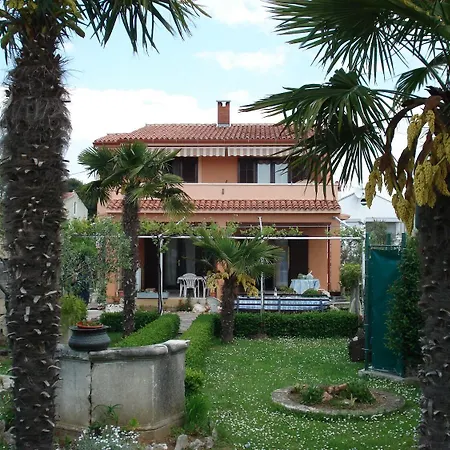 Andy Apartman *